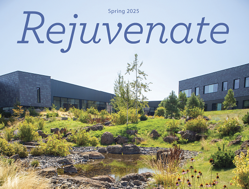 Rejuvenate newsletter